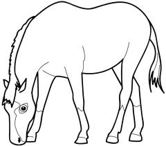 Horse 6